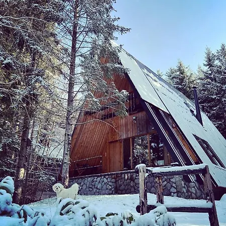 Forest House Stella - A Frame *