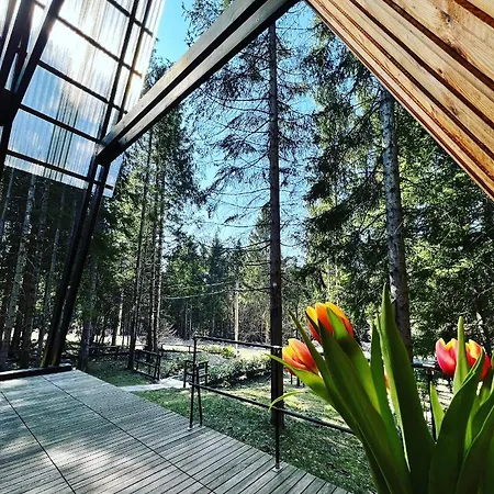 Forest House Stella - A Frame Dağ evi Mrkopalj