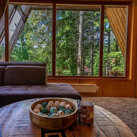 Forest House Stella - A Frame Dağ evi Mrkopalj
