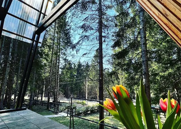 Forest House Stella - A Frame Chalet Mrkopalj